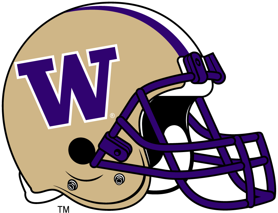 Washington Huskies 2016-Pres Helmet Logo diy DTF decal sticker